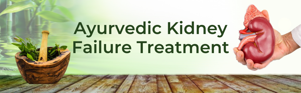 ayurvedic kidney failure treatment
