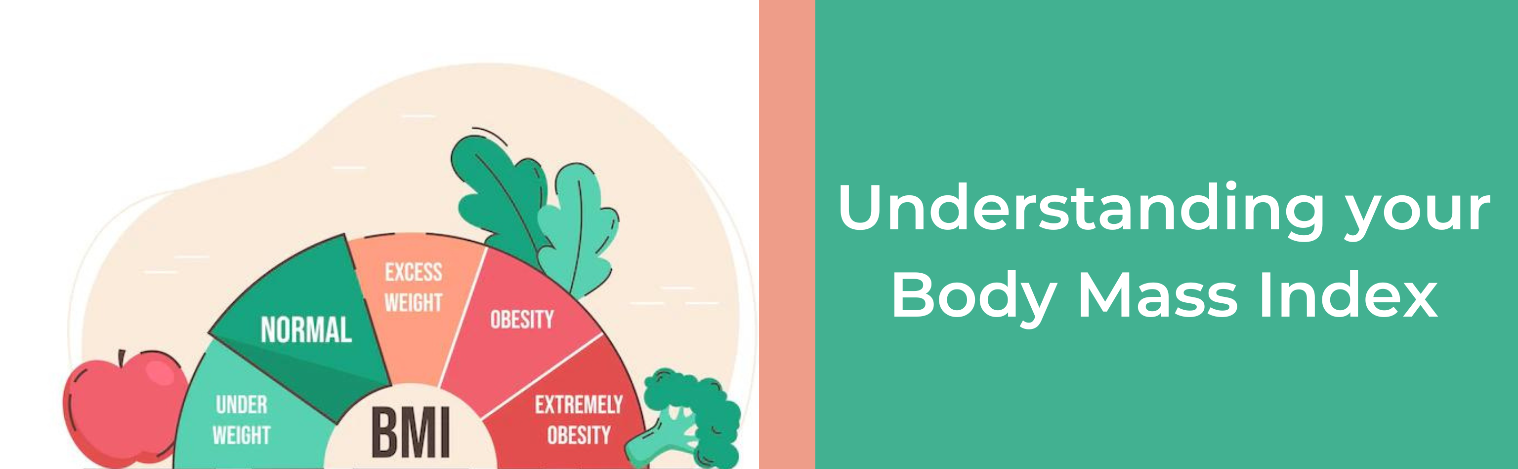 understanding your bmi